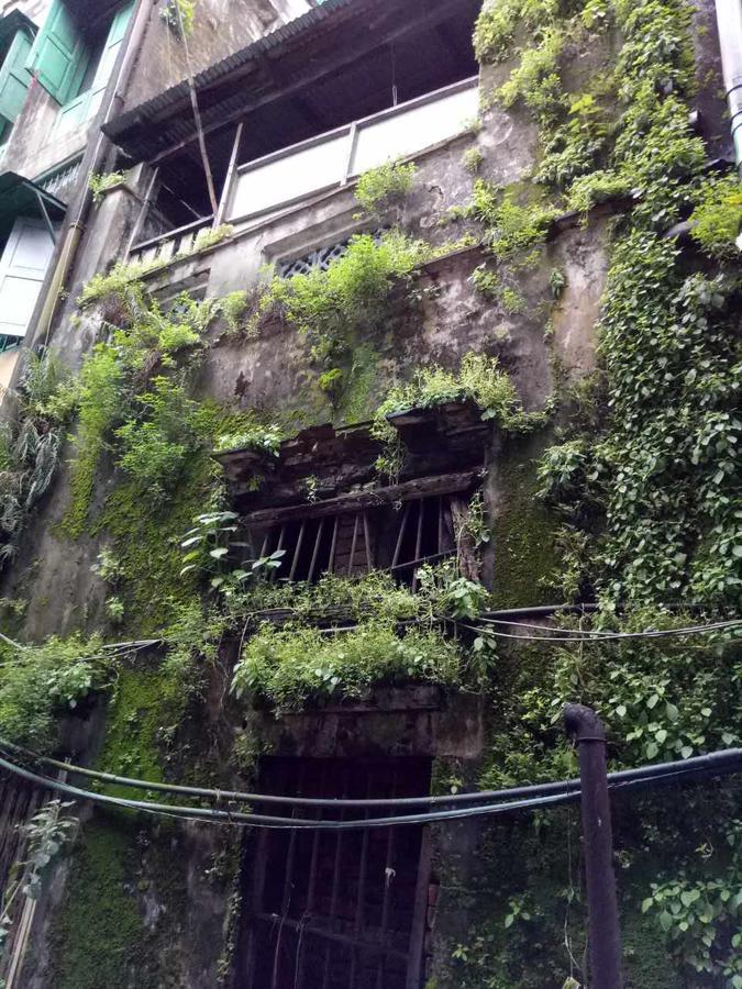 Baobabed Hostel Yangon, Myanmar Esterno foto